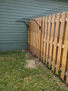 cat fencing